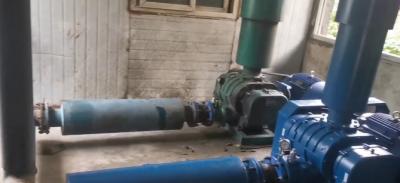 污水處理廠羅茨車鼓風(fēng)機